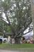 resIMG_20091010_0612.JPG